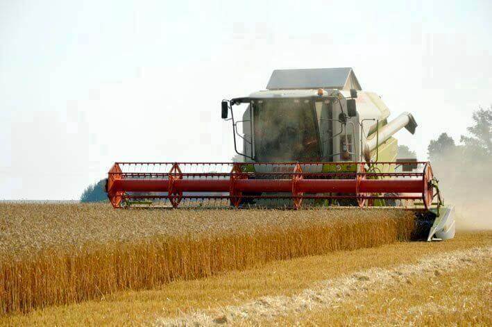 Тамбовские аграрии собрали первый миллион тонн зерна
